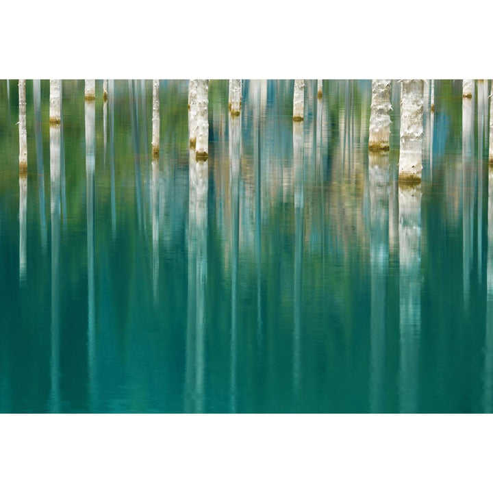 Ghostly Forest Reflections Wall Art